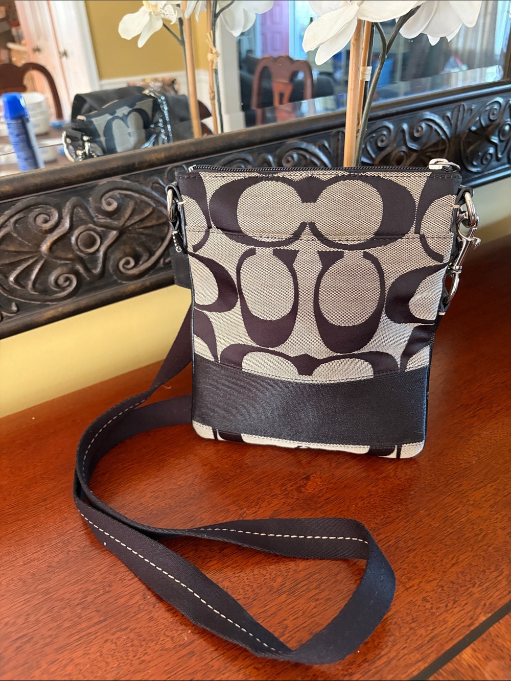 Coach Signature Stripe Swingpack Crossbody Bag - Picture 2 of 6